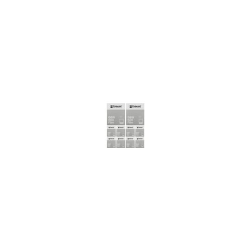 Polaroid Originals Classic B&W Instant Film for 600 Cameras (80 Exposures)