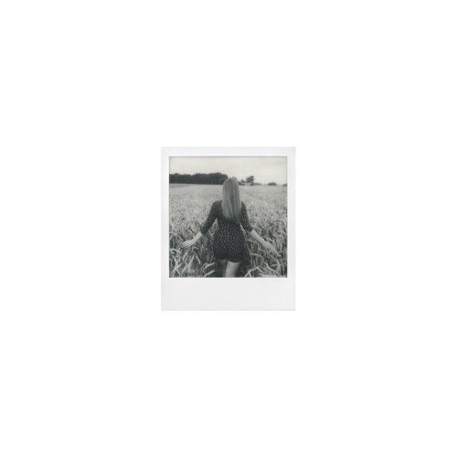 Polaroid Originals Classic B&W Instant Film for 600 Cameras (80 Exposures)