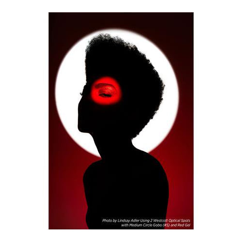 Westcott Optical Spot by Lindsay Adler (Profoto)