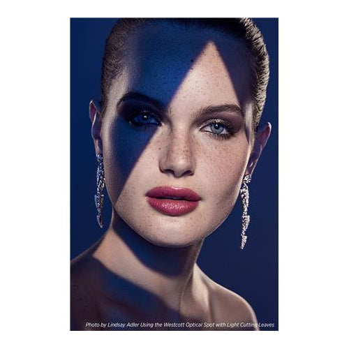 Westcott Optical Spot by Lindsay Adler (Profoto)