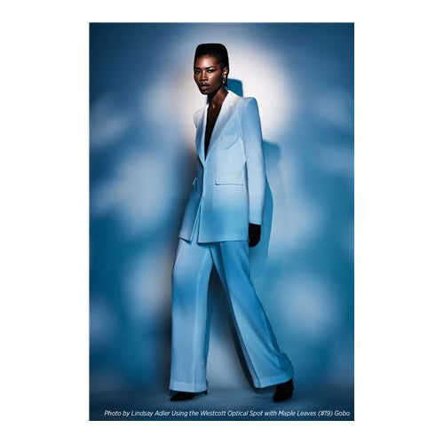 Westcott Optical Spot by Lindsay Adler Gobo Pack 2: Environmental (10-pack)