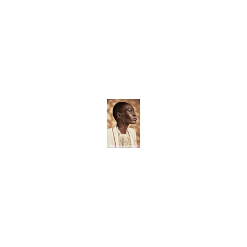 Westcott Optical Spot by Lindsay Adler Gobo Pack 2: Environmental (10-pack)