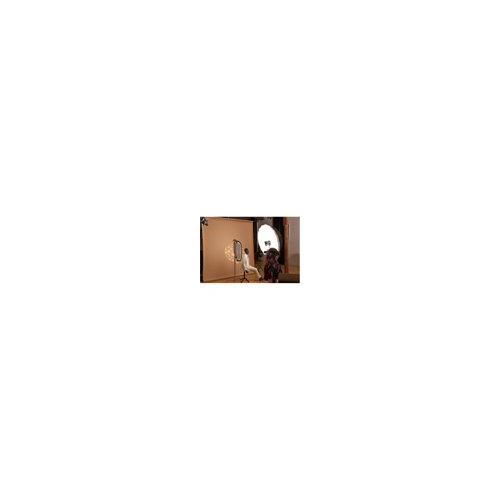Westcott Optical Spot by Lindsay Adler Gobo Pack 2: Environmental (10-pack)