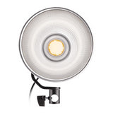 Westcott L60-B Bi-Color LED Video Light (60W)