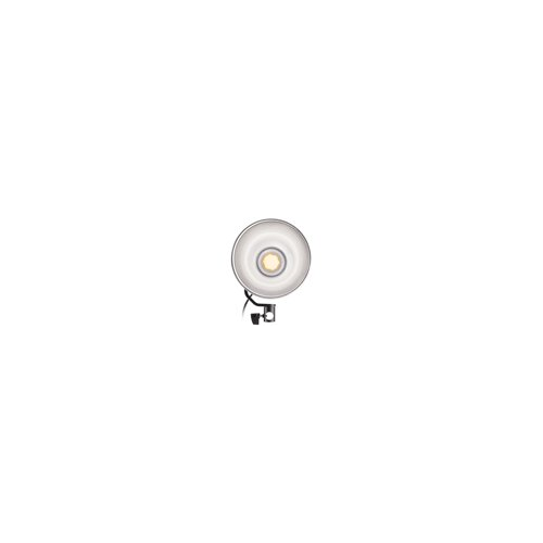 Westcott L60-B Bi-Color LED Video Light (60W)