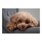 Canon EOS R10 Mirrorless Camera with RF-S 18-150mm Lens Kit