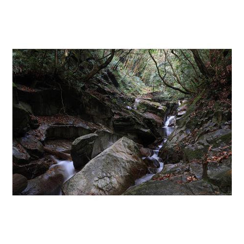 Canon RF-S 18-150mm f/3.5-6.3 IS STM Lens