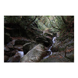 Canon RF-S 18-150mm f/3.5-6.3 IS STM Lens