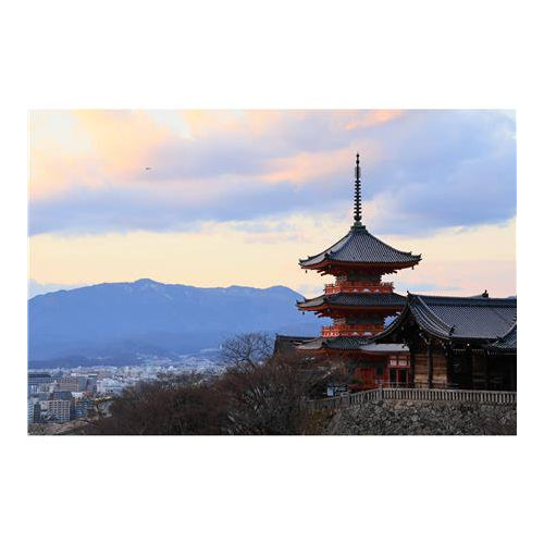 Canon RF-S 18-150mm f/3.5-6.3 IS STM Lens