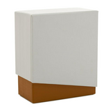 Polaroid Color Film for I-Type (Color Frames Edition, 5-Pack) and Focus Camera Film Kit Bundle