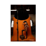 Westcott X-Drop Pro Wrinkle-Resistant, Machine-Washable Backdrop (Tiger Orange, 8 x 13 Feet)