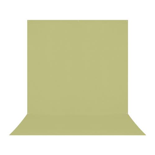 Westcott X-Drop Pro Wrinkle-Resistant 8 x 13 Feet Reflection-Free Backdrop (Light Green Moss)