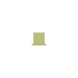 Westcott X-Drop Pro Wrinkle-Resistant 8 x 13 Feet Reflection-Free Backdrop (Light Green Moss)