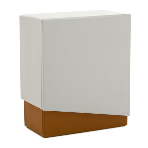 Polaroid NOW+ Instant Film Camera Deluxe with Color Instant Film and B&W Film Bundle