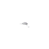 Logitech G502 X Plus Wireless Gaming Mouse (White) Bundle