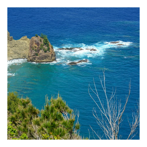 Tamron 50-400mm f/4.5-6.3 Di III VC VXD Lens for Sony E-Mount