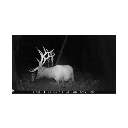 Browning Trail Cameras Strike Force Extreme 16MP Game Camera Bundle