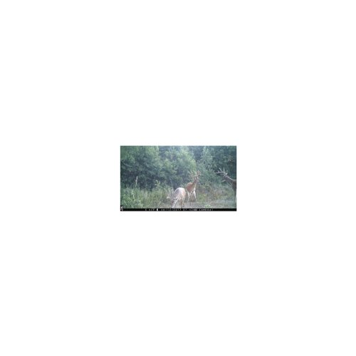 Browning Trail Cameras Strike Force Extreme 16MP Game Camera Bundle