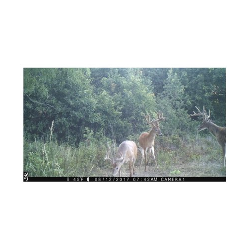 Browning Trail Cameras 16MP Strike Force Extreme Game Cam (4-Pack) w/Card Reader