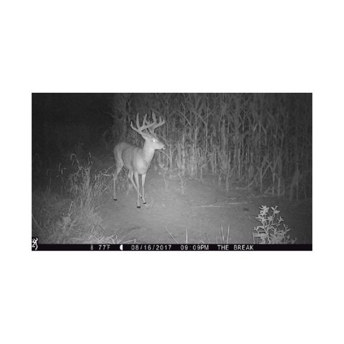 Browning Trail Cameras 16MP Strike Force Extreme Game Cam (4-Pack) w/Card Reader