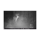 Browning Trail Cameras 16MP Strike Force Extreme Game Cam (4-Pack) w/Card Reader