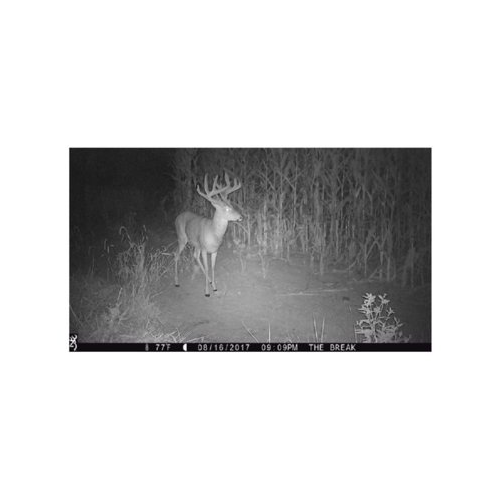 Browning Trail Cameras Strike Force Extreme with 32GB SD Card and Reader