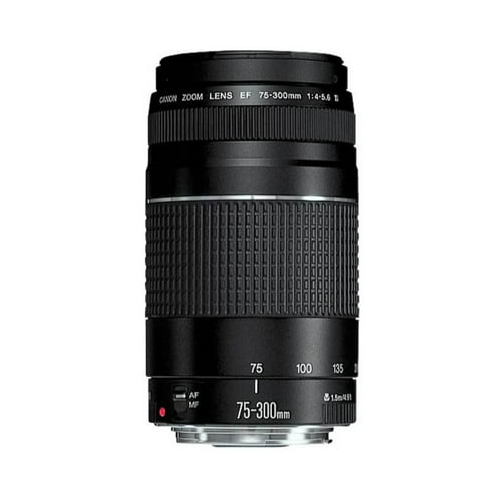 Canon EOS Rebel T7 DSLR Camera with 18-55mm and 75-300mm Lenses Basic Kit