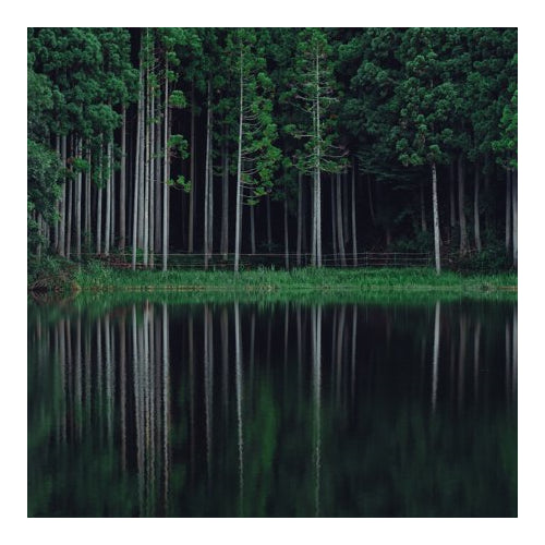 Tamron 17-70mm F/2.8 Di III-A RXD for FUJIFILM X-Mount APS-C Mirrorless Cameras