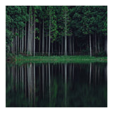 Tamron 17-70mm F/2.8 Di III-A RXD for FUJIFILM X-Mount APS-C Mirrorless Cameras