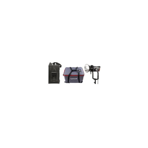 Aputure LS600D PRO Daylight  LED Light (V-mount)