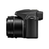 Panasonic LUMIX FZ80D 18.1MP 4K Point Shoot Long Zoom Camera with 64GB SD Card and Accessory Bundle