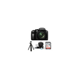 Panasonic LUMIX FZ80D 4K Long Zoom Camera with 32GB Accessory Bundle