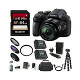 Panasonic DMC-FZ300K Digital Camera (Black) with 64GB SD Card and Accessory Bundle