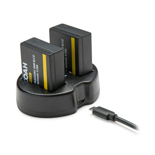 Panasonic LUMIX G85 Mirrorless Camera with 12-60mm Lens and Microphone Bundle