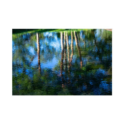 Sigma 16mm f/1.4 DC DN Contemporary Lens for Sony E Mount Cameras with Backpack Bundle