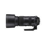 Sigma 60-600mm f/4.5-6.3 DG OS HSM Sports Lens for Nikon Bundle