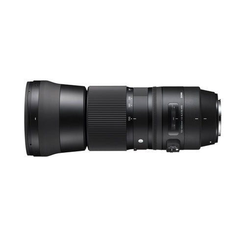 Sigma 150-600mm f/5-6.3 DG OS HSM Contemporary Lens for Nikon with Mini 1TB  External Hard Drive and Accessory Bundle