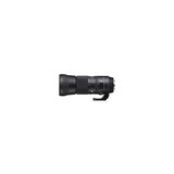 Sigma 150-600mm f/5-6.3 DG OS HSM Contemporary Lens for Nikon with Mini 1TB  External Hard Drive and Accessory Bundle