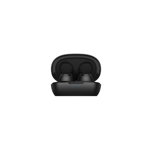Ausounds True Wireless Hybrid Active Noise Cancelling Earbuds (Black)