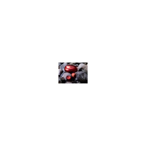 Ausounds True Wireless Hybrid Active Noise Cancelling Earbuds (Red)