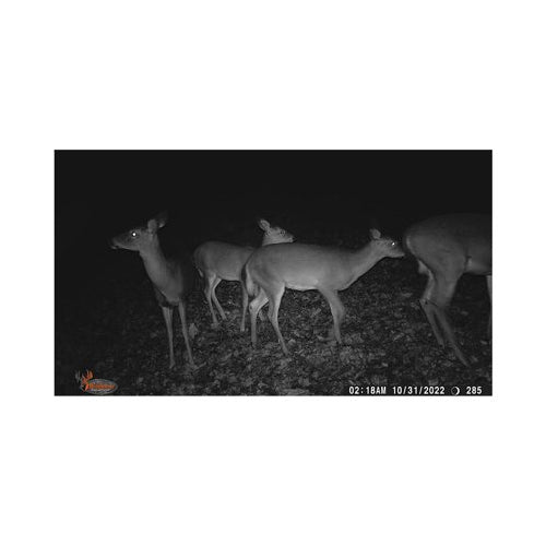 Wildgame Innovations Terra Extreme 14MP Camera with SD Card and High-Speed Card Reader