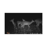 Wildgame Innovations Terra Extreme 14MP Camera with SD Card and High-Speed Card Reader