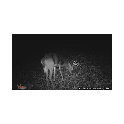 Wildgame Innovations Terra Extreme 14MP Camera with SD Card and High-Speed Card Reader