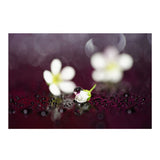 Sony FE 90mm f/2.8 Macro G OSS Full-Frame E-Mount Macro Lens