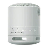 Sony SRS-XB100 Wireless Bluetooth Portable Lightweight Travel Speaker (Gray) with Travel Case Bundle