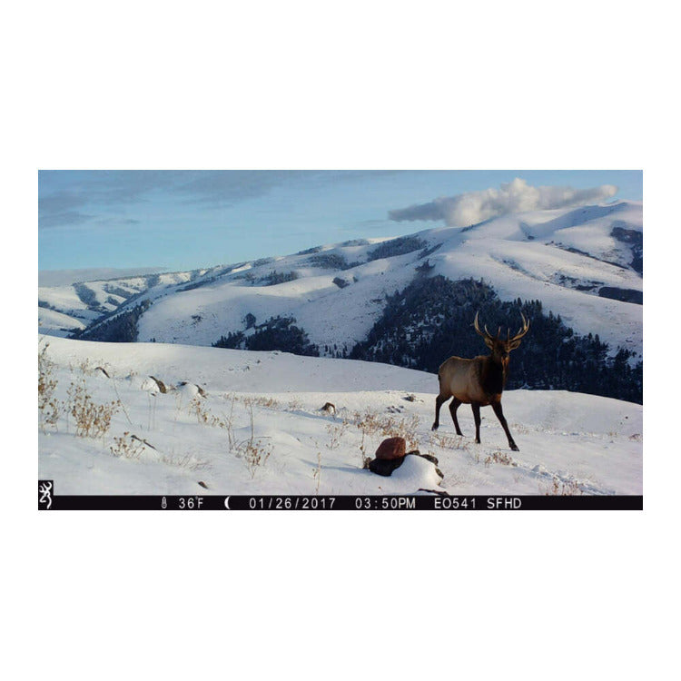 Browning Strike Force Pro X Trail Camera w/SD Card, Security Box Bundle (4-Pack)