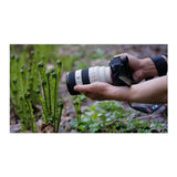 Sony FE 70-200mm F4 Macro G OSS II Full-Frame Compact Telephoto Zoom Lens