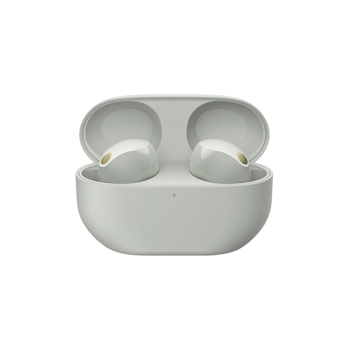 Sony WF-1000XM5 Truly Wireless Noise Canceling Earbuds (Silver) with Earbuds Accessory