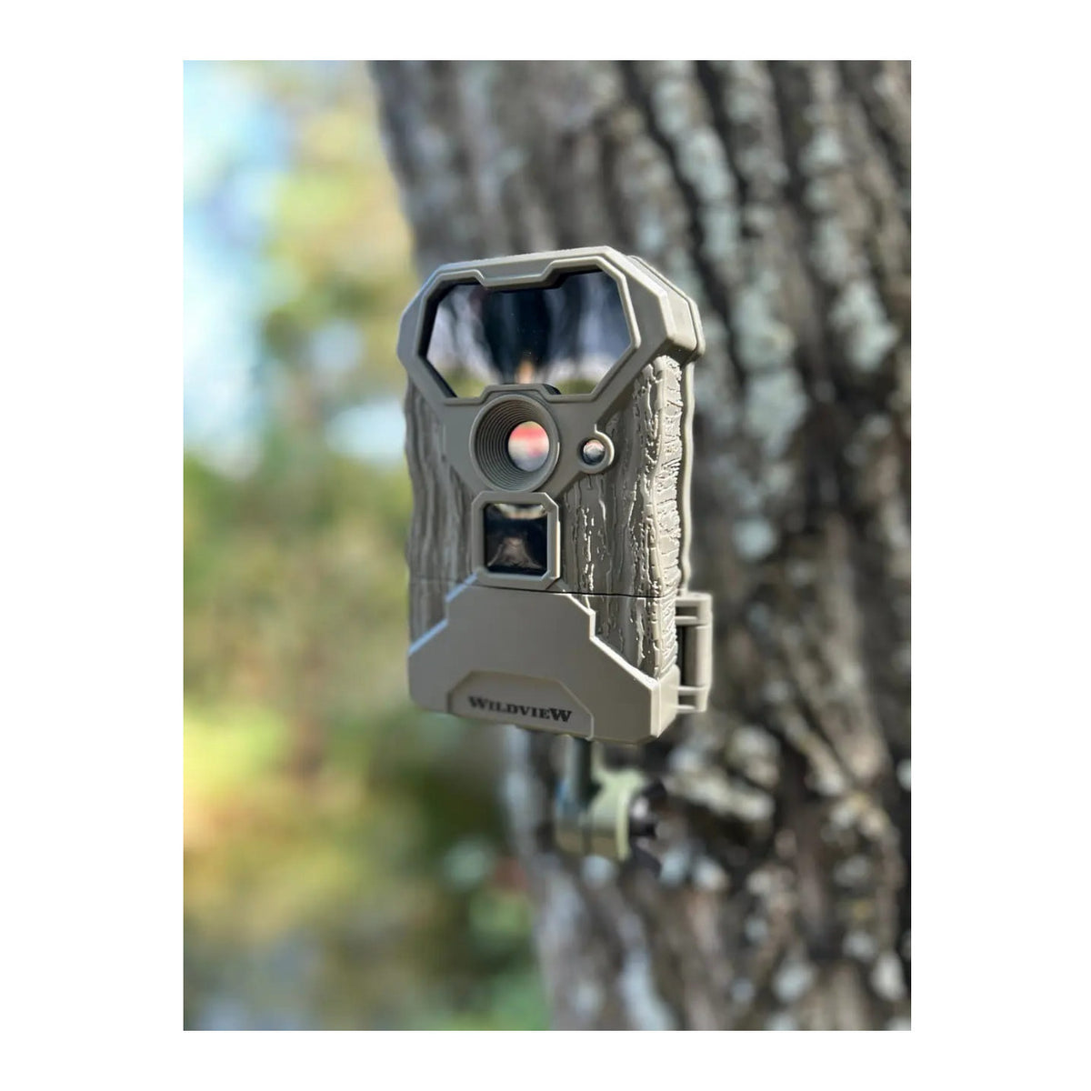 Stealth Cam Wildview 14MP Trail Camera with 32GB Memory Card Bundle (3-Pack)