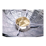 Aputure LS 60x Bi-Color LED Focusing Flood Light with Light Dome Mini III and Accessory Kit